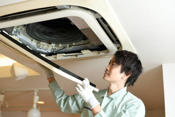 Best Ductwork Cleaning Services  in Chandler, TX