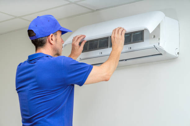 Best Air Duct Mold Removal  in Chandler, TX