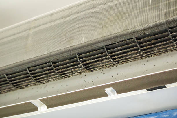 Home Air Vent Cleaning in Chandler, TX